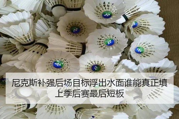尼克斯补强后场目标浮出水面谁能真正填上季后赛最后短板