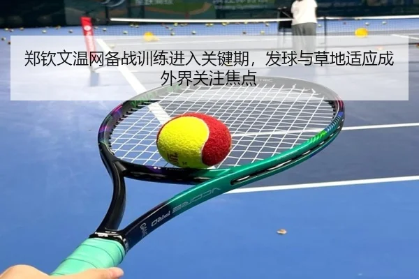 郑钦文温网备战训练进入关键期，发球与草地适应成外界关注焦点